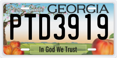 GA license plate PTD3919