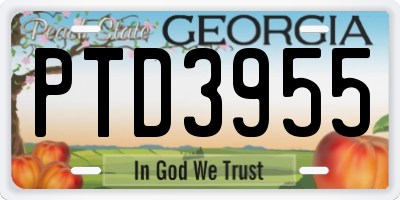 GA license plate PTD3955