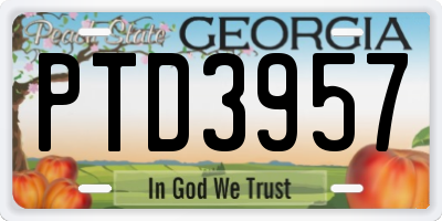 GA license plate PTD3957