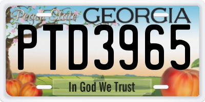 GA license plate PTD3965