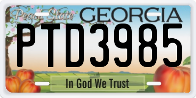 GA license plate PTD3985