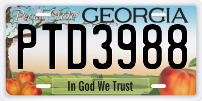 GA license plate PTD3988