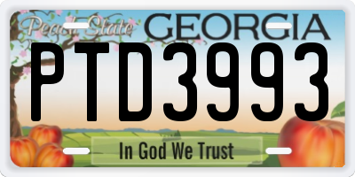 GA license plate PTD3993
