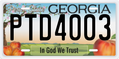 GA license plate PTD4003