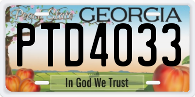 GA license plate PTD4033