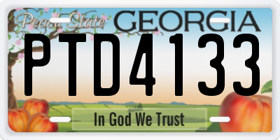 GA license plate PTD4133