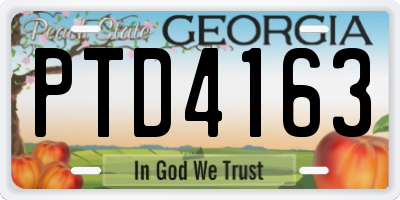GA license plate PTD4163
