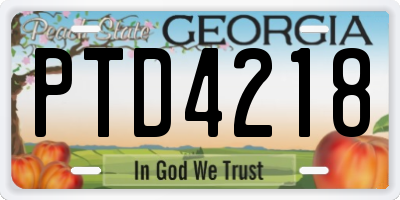 GA license plate PTD4218