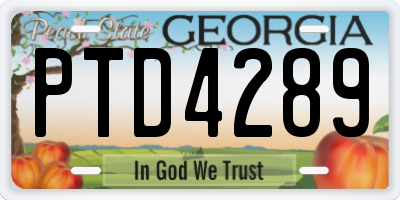 GA license plate PTD4289