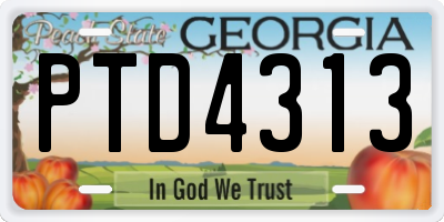 GA license plate PTD4313