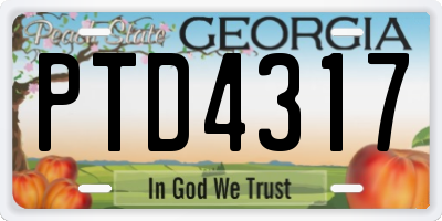 GA license plate PTD4317