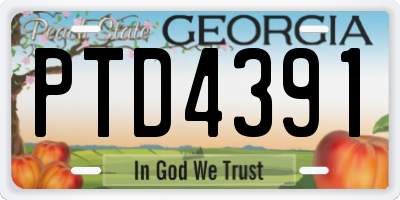 GA license plate PTD4391