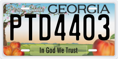 GA license plate PTD4403