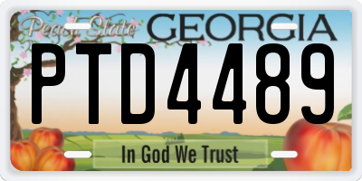 GA license plate PTD4489