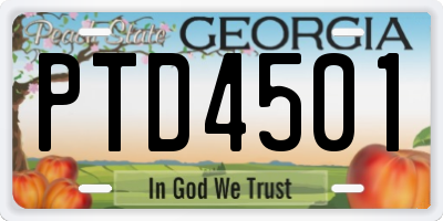 GA license plate PTD4501