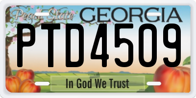 GA license plate PTD4509