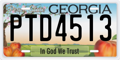 GA license plate PTD4513