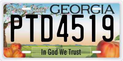 GA license plate PTD4519