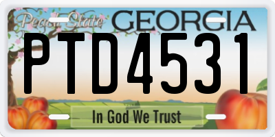 GA license plate PTD4531
