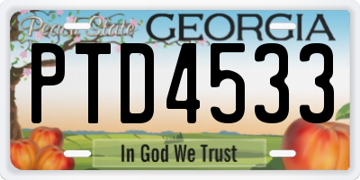 GA license plate PTD4533