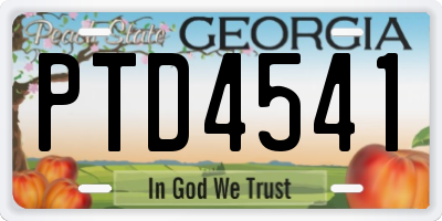GA license plate PTD4541