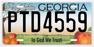 GA license plate PTD4559