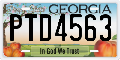 GA license plate PTD4563