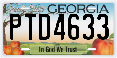 GA license plate PTD4633