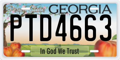 GA license plate PTD4663