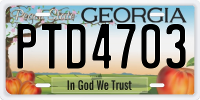 GA license plate PTD4703