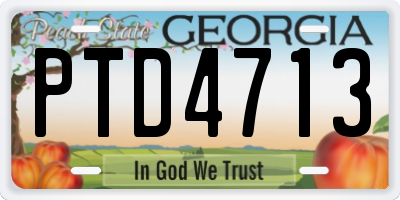 GA license plate PTD4713