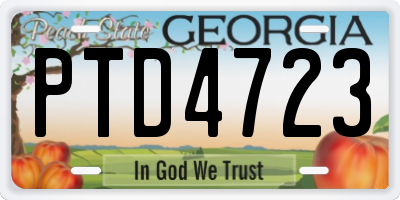 GA license plate PTD4723