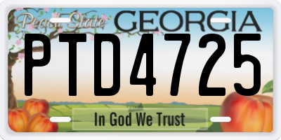 GA license plate PTD4725