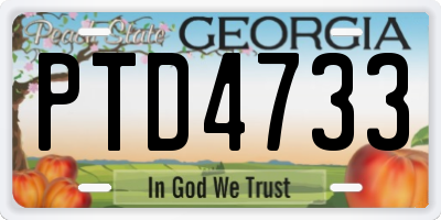 GA license plate PTD4733