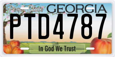 GA license plate PTD4787