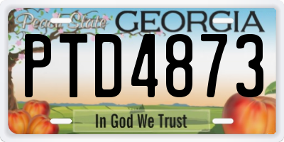 GA license plate PTD4873