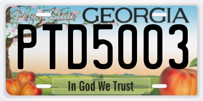 GA license plate PTD5003
