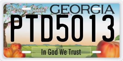 GA license plate PTD5013