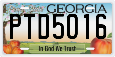 GA license plate PTD5016