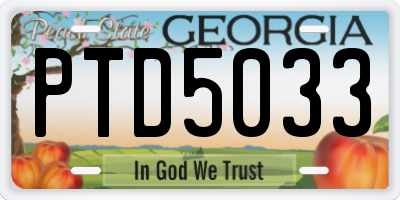 GA license plate PTD5033
