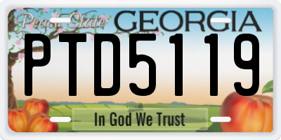 GA license plate PTD5119