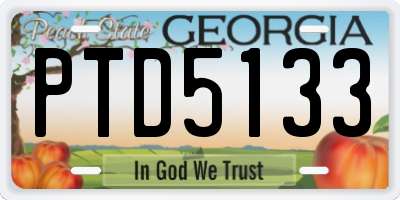 GA license plate PTD5133