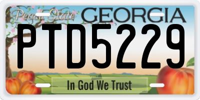 GA license plate PTD5229