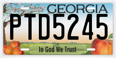 GA license plate PTD5245
