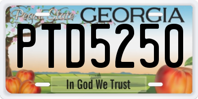 GA license plate PTD5250