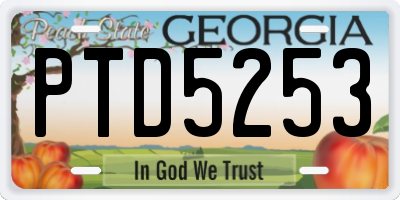 GA license plate PTD5253