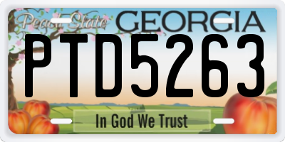 GA license plate PTD5263