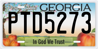 GA license plate PTD5273