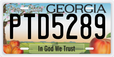 GA license plate PTD5289