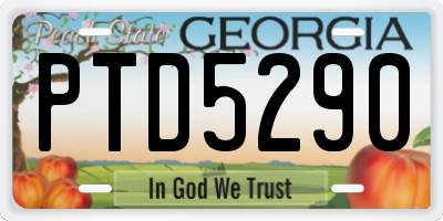 GA license plate PTD5290